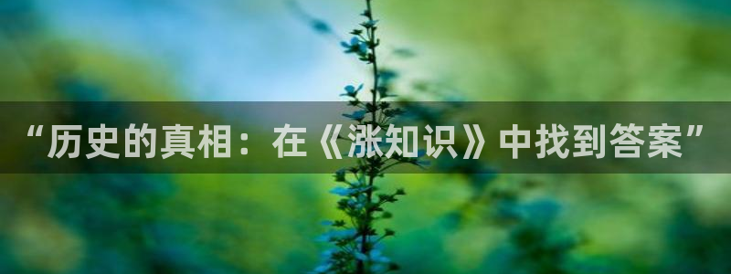 纵横中文网一剑独尊