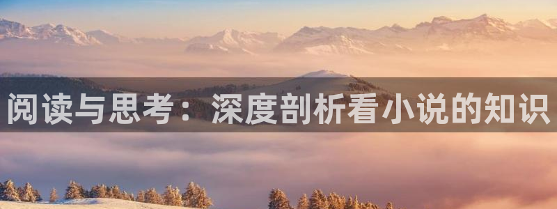 纵横小说网