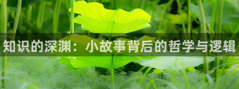 纵横中文网多少字签约