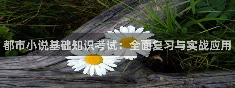 纵横中文网和起点